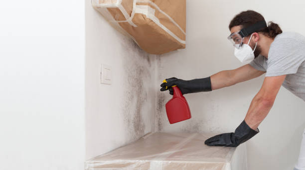 Professional Bathroom Mold Removal technician working in Oakland, PA